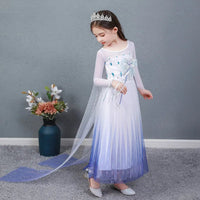 Elsa Kleid Fasching