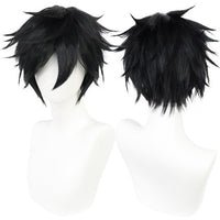 Luffy Wig