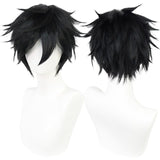 Luffy Wig